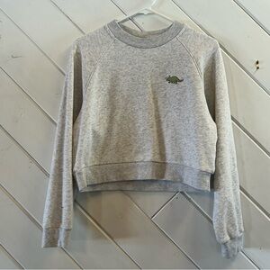 SUNDAY BEST Aritzia Heathered Gray Cropped Sweatshirt with Triceratops